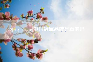 潍坊中国冠军品牌是真的吗