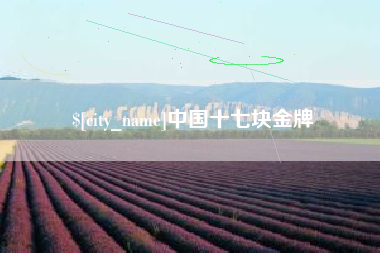 潍坊中国十七块金牌