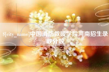 潍坊中国消防救援学院河南招生录取分数