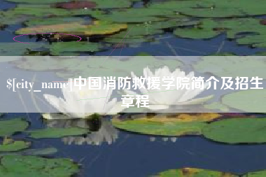 潍坊中国消防救援学院简介及招生章程