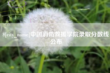 潍坊中国消防救援学院录取分数线公布