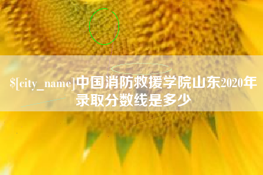 潍坊中国消防救援学院山东2020年录取分数线是多少