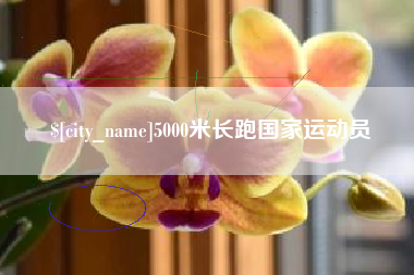 潍坊5000米长跑国家运动员