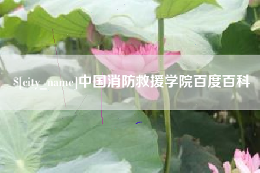 潍坊中国消防救援学院百度百科