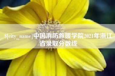 潍坊中国消防救援学院2021年浙江省录取分数线