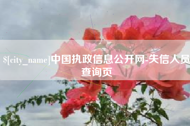 潍坊中国执政信息公开网-失信人员查询页