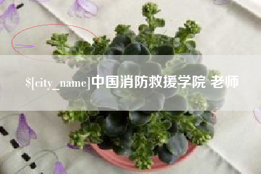 潍坊中国消防救援学院 老师