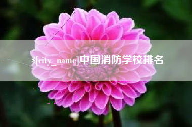 潍坊中国消防学校排名