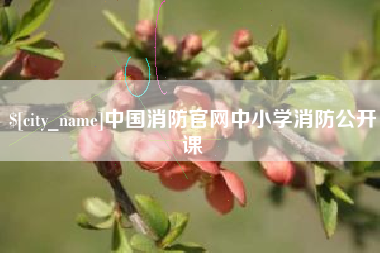 潍坊中国消防官网中小学消防公开课