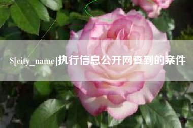 潍坊执行信息公开网查到的案件