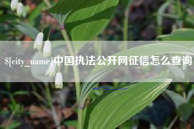潍坊中国执法公开网征信怎么查询