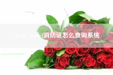 潍坊消防证怎么查询系统