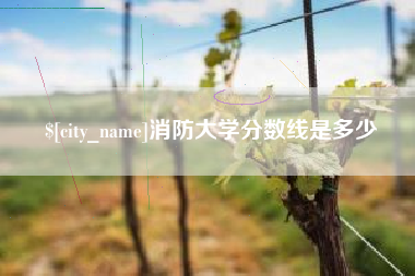 潍坊消防大学分数线是多少