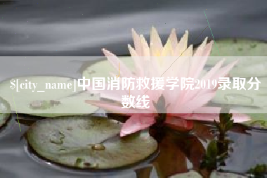 潍坊中国消防救援学院2019录取分数线