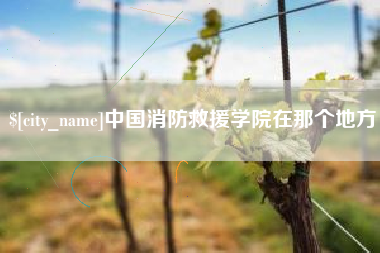 潍坊中国消防救援学院在那个地方
