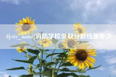 潍坊消防学校录取分数线是多少