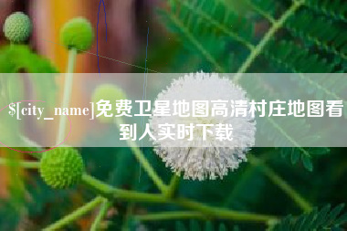 潍坊免费卫星地图高清村庄地图看到人实时下载