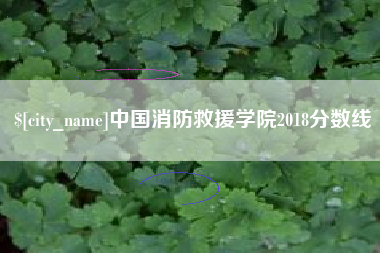 潍坊中国消防救援学院2018分数线