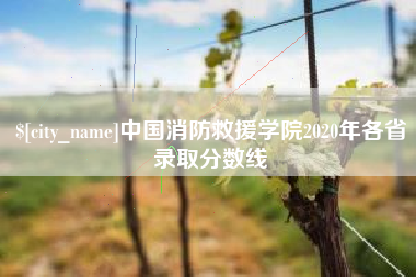 潍坊中国消防救援学院2020年各省录取分数线