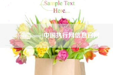 潍坊中国执行网信息官网