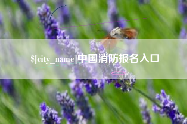 潍坊中国消防报名入口