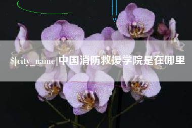 潍坊中国消防救援学院是在哪里