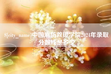 潍坊中国消防救援学院2024年录取分数线是多少