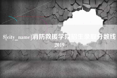 潍坊消防救援学院招生录取分数线2019