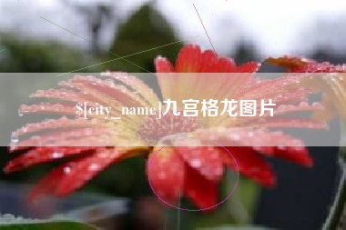 潍坊九宫格龙图片