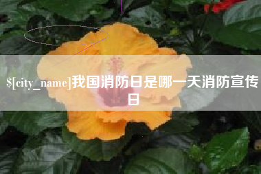 潍坊我国消防日是哪一天消防宣传日