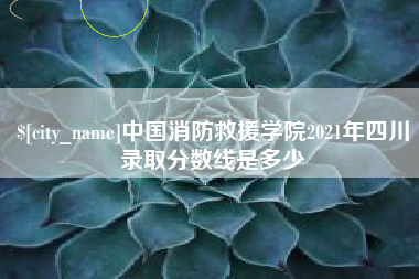 潍坊中国消防救援学院2021年四川录取分数线是多少