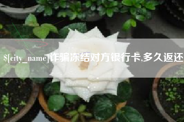 潍坊诈骗冻结对方银行卡,多久返还