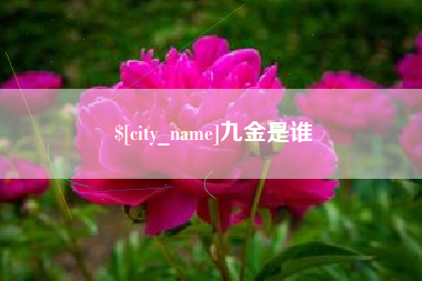 潍坊九金是谁