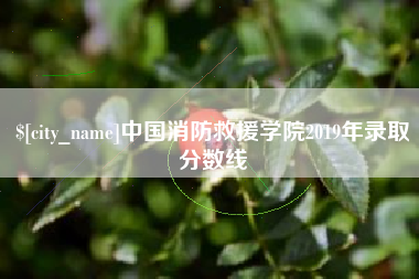 潍坊中国消防救援学院2019年录取分数线