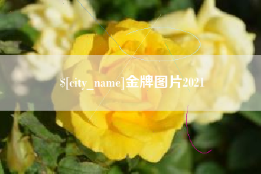 潍坊金牌图片2021