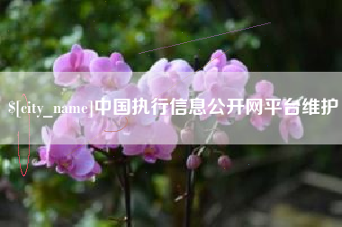 潍坊中国执行信息公开网平台维护