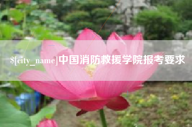 潍坊中国消防救援学院报考要求