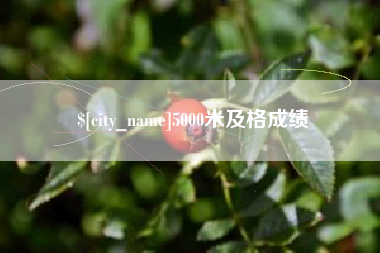 潍坊5000米及格成绩