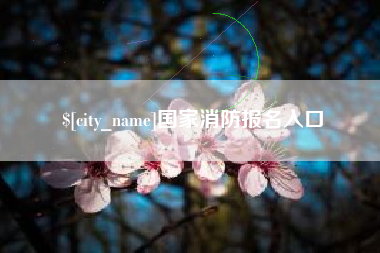 潍坊国家消防报名入口