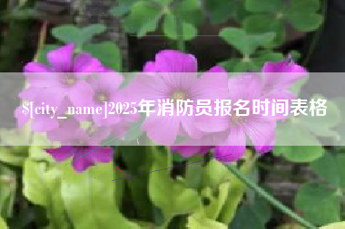 潍坊2025年消防员报名时间表格