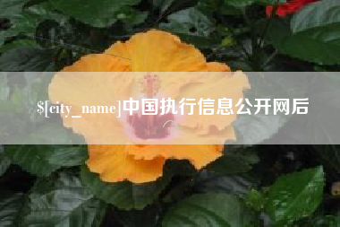 潍坊中国执行信息公开网后