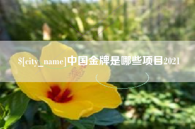 潍坊中国金牌是哪些项目2021