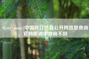 潍坊中国执行信息公开网信息查询官网限消中查询不到
