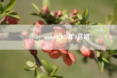 潍坊2021年9宫格