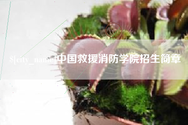 潍坊中国救援消防学院招生简章