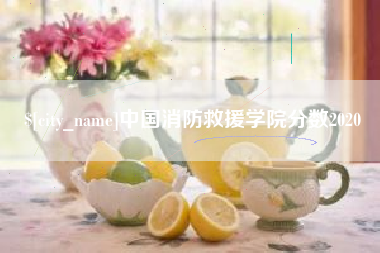 潍坊中国消防救援学院分数2020