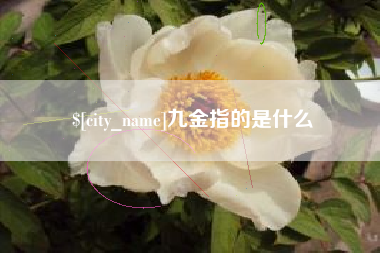潍坊九金指的是什么