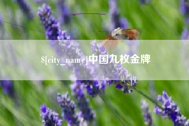 潍坊中国九枚金牌