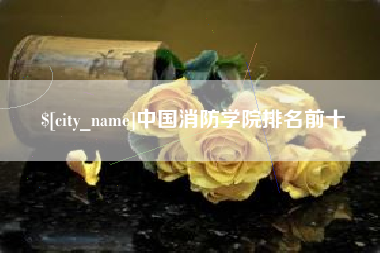 潍坊中国消防学院排名前十