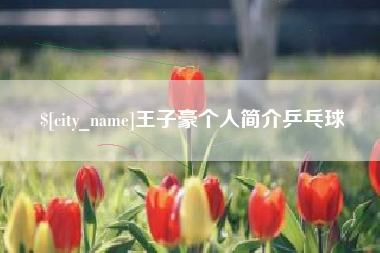 潍坊王子豪个人简介乒乓球